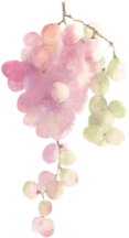 Grapes icon