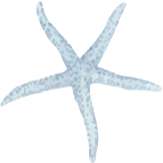 Starfish icon